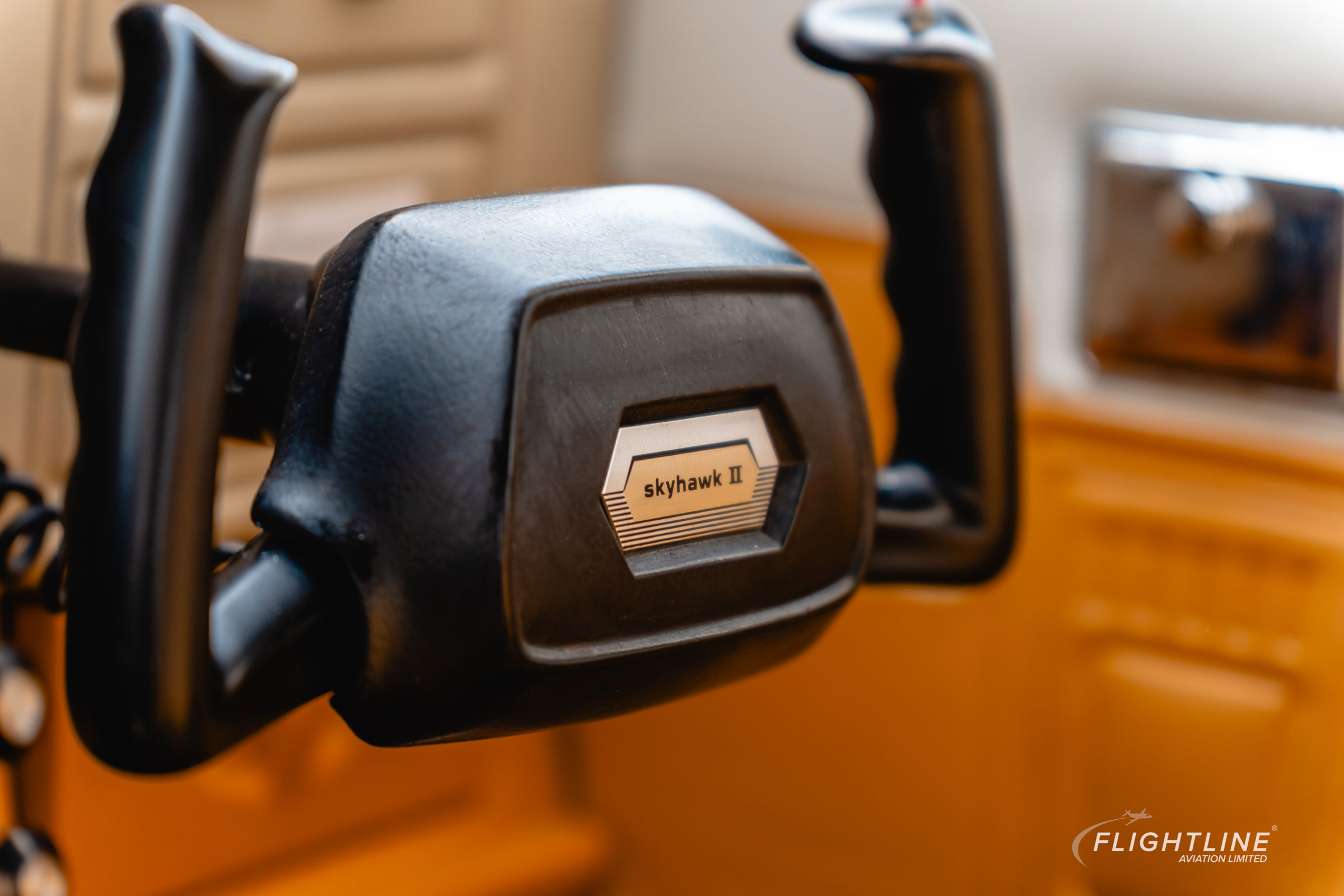 1977 Cessna (Reims) F172N - Interior