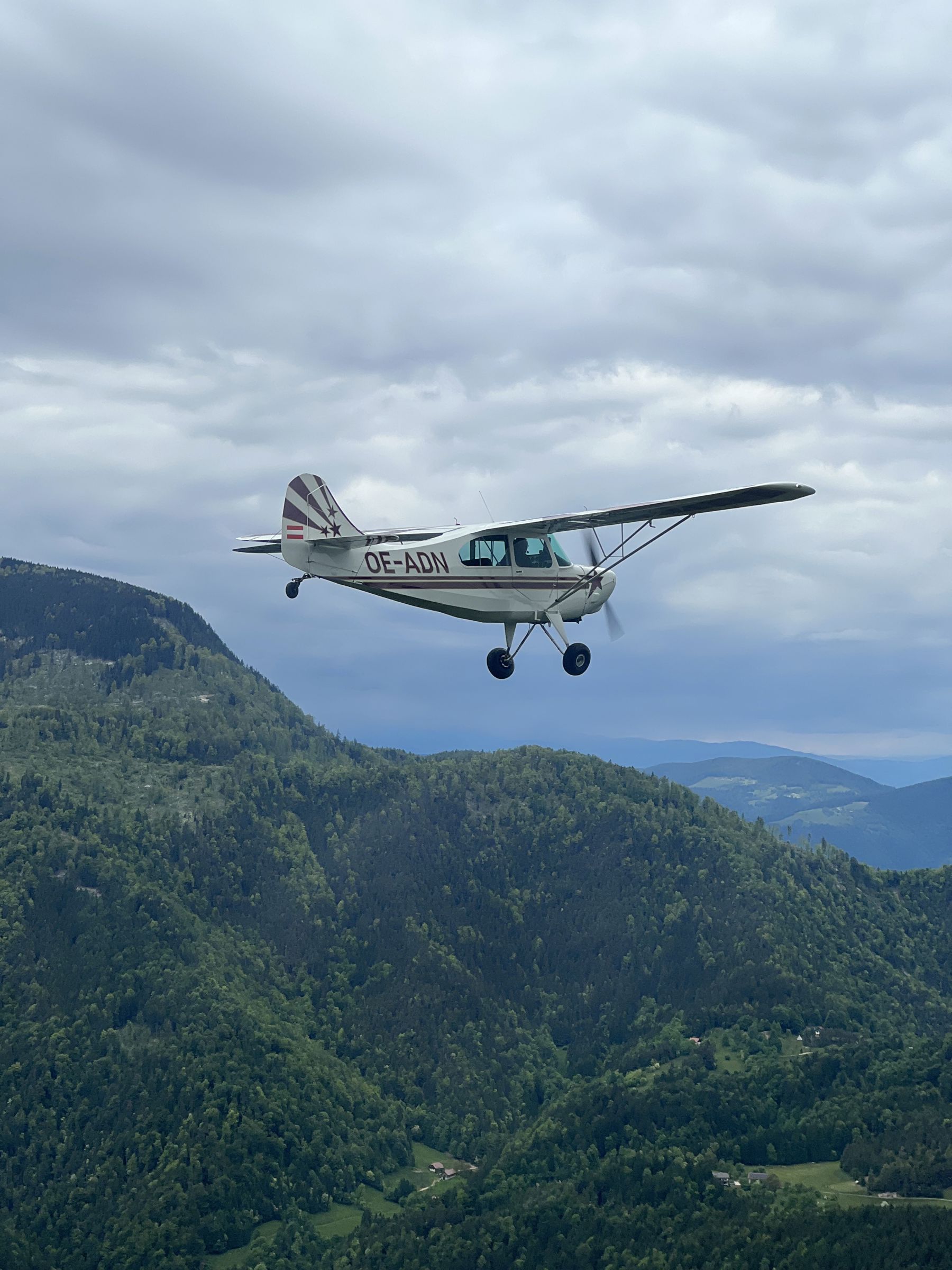 1961 American Champion, Bellanca 7GCBC Citabria - Exterior