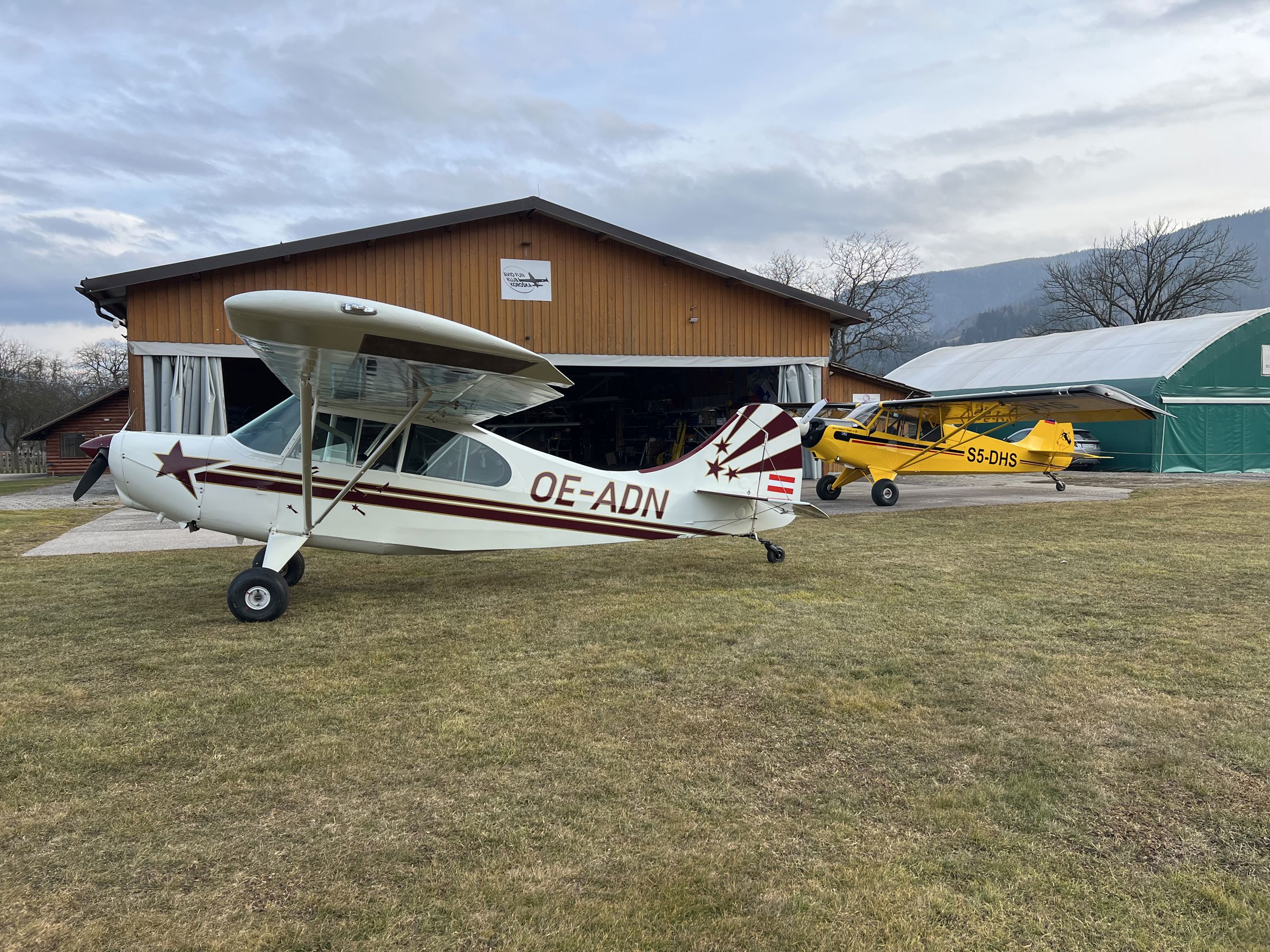 1961 American Champion, Bellanca 7GCBC Citabria