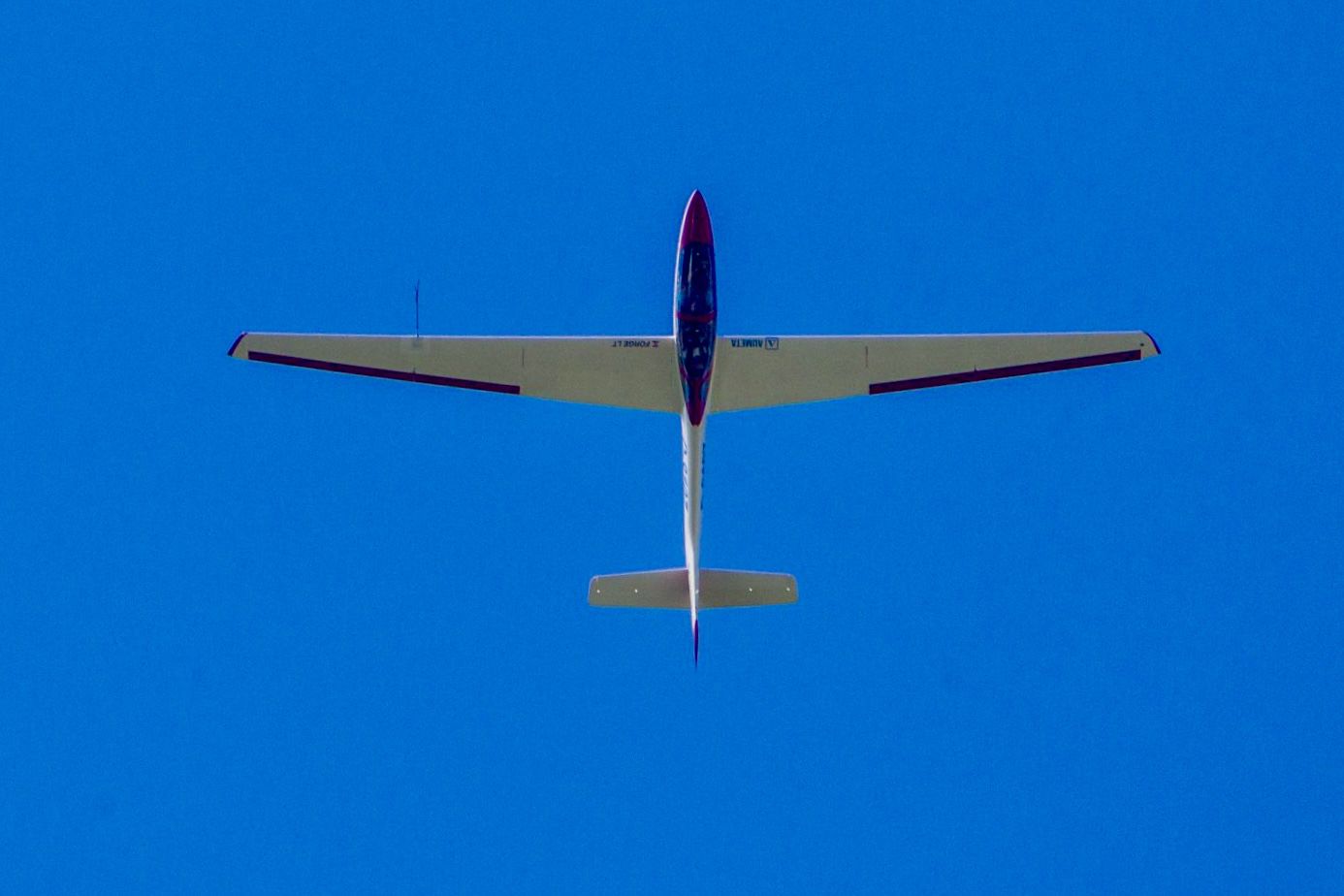 2000 MDM MDM-1 FOX