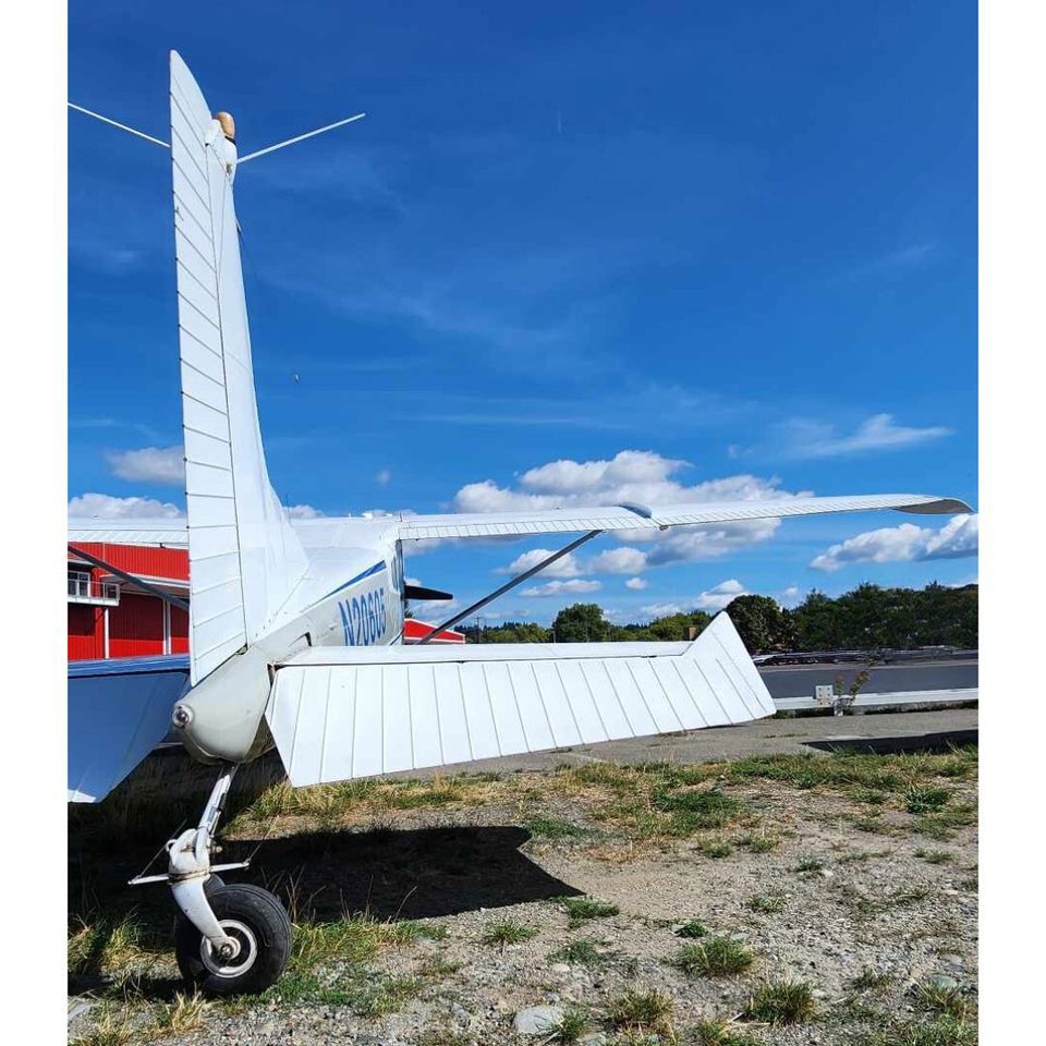 1981 Cessna 180K Skywagon - Exterior