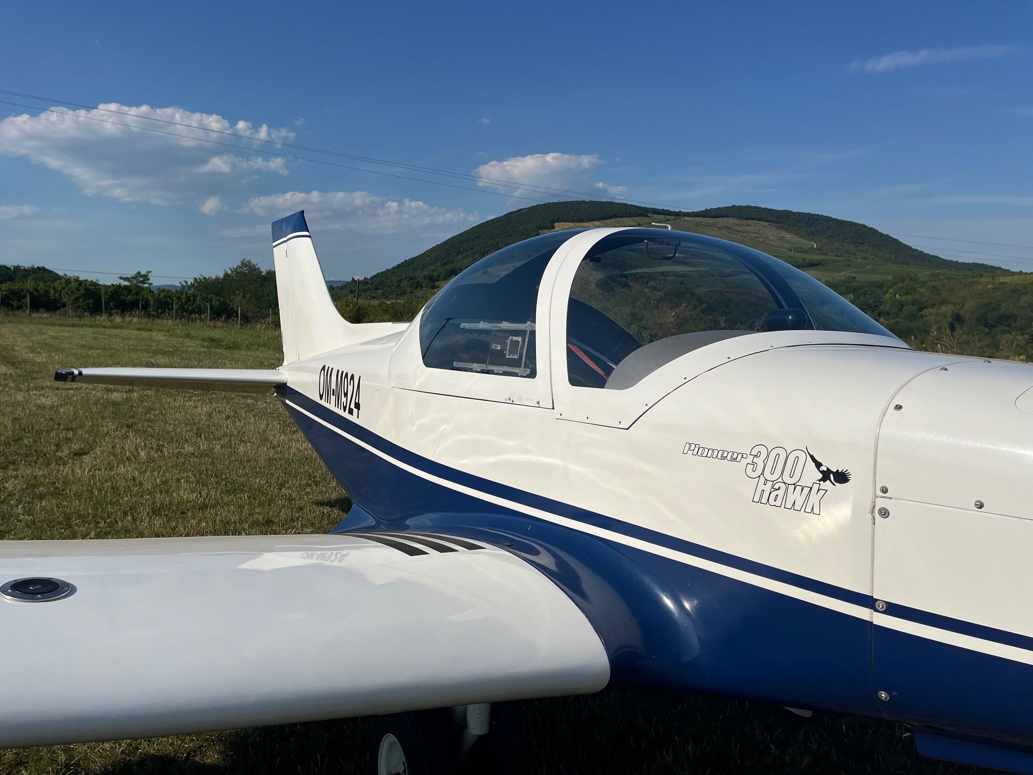 2008 Alpi Aviation Pioneer 300 - Exterior
