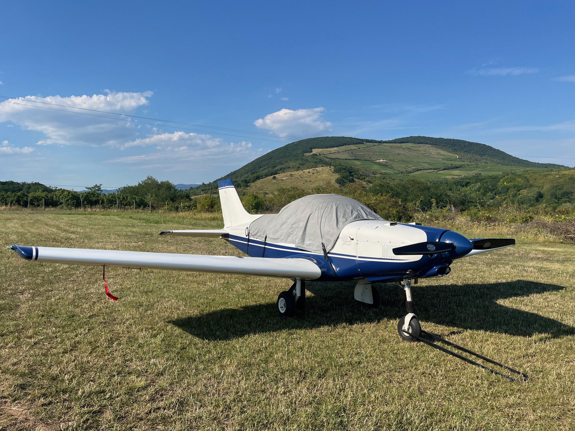 2008 Alpi Aviation Pioneer 300 - Exterior