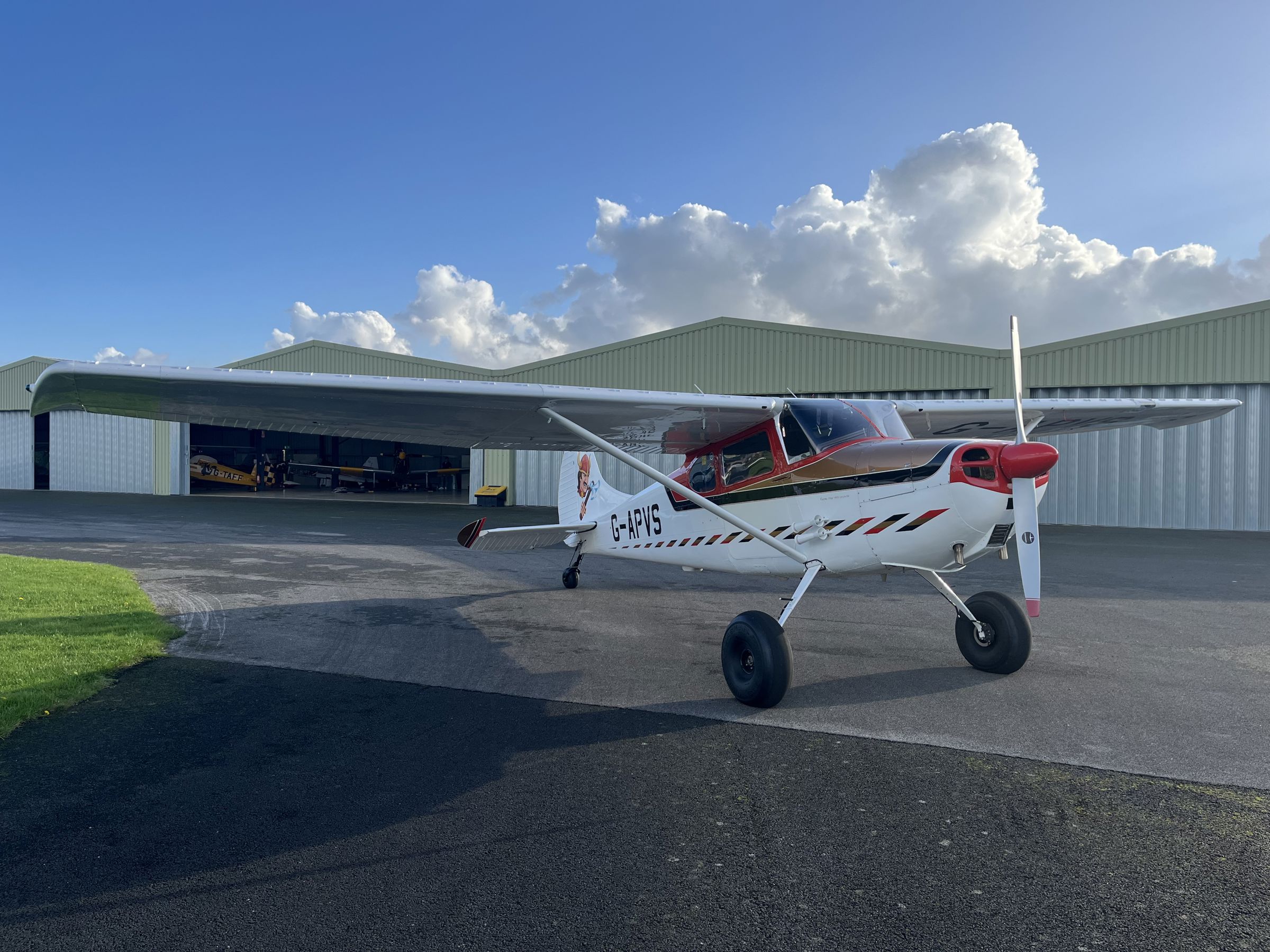 1953 Cessna 170B - Exterior