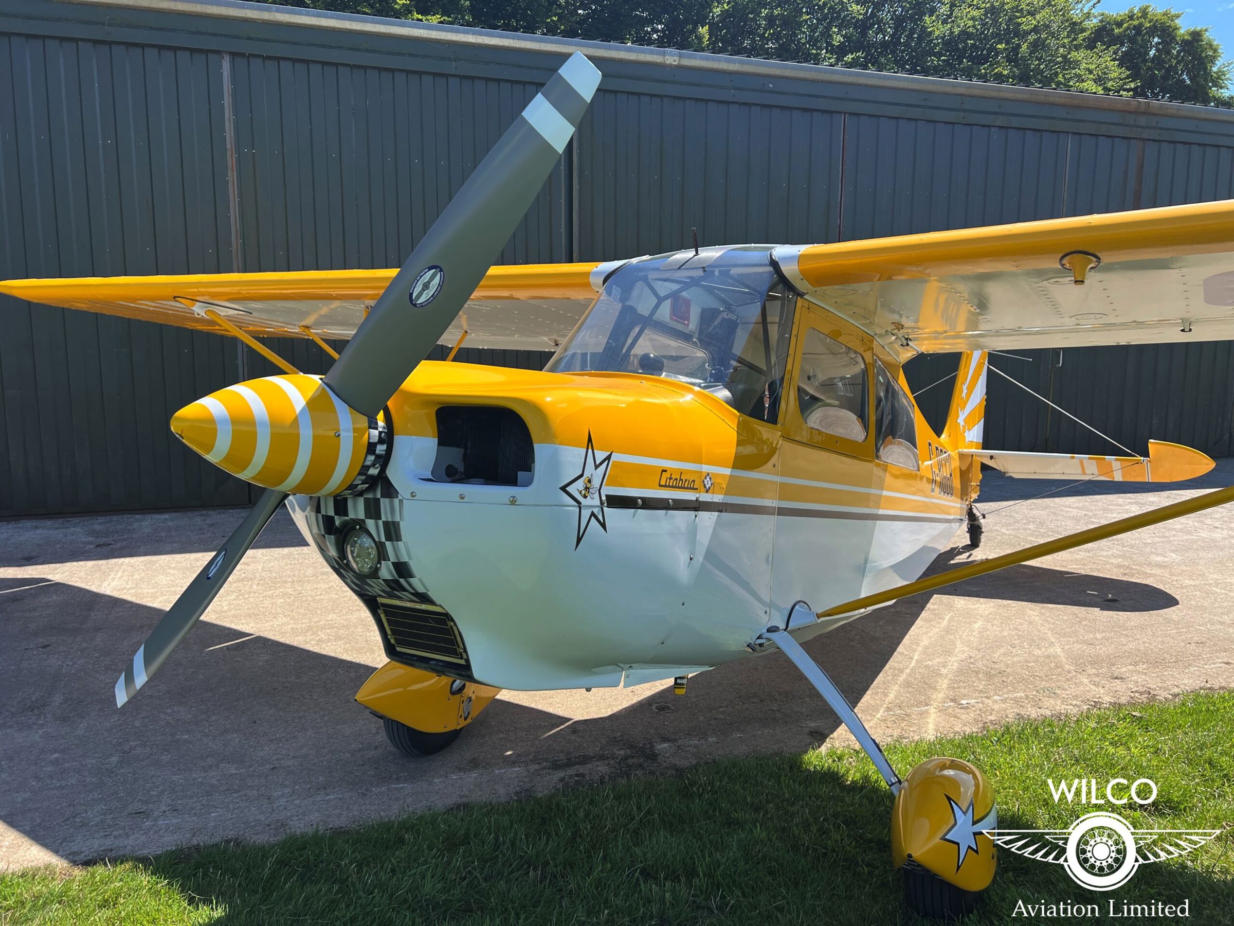 1979 Bellanca 7GCBC Citabria - Exterior