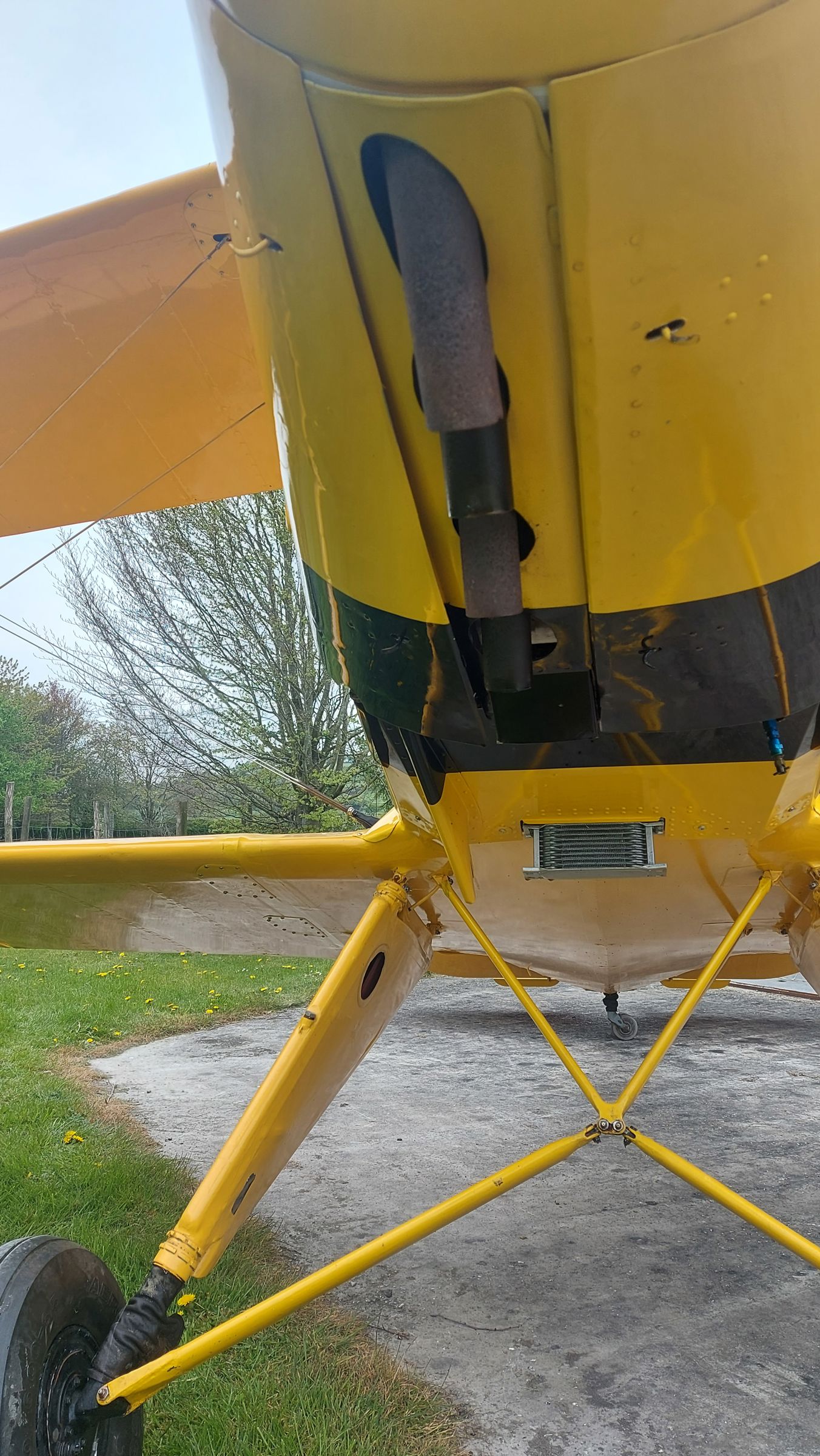 1953 Bücker Bü 131 Jungmann - Exterior