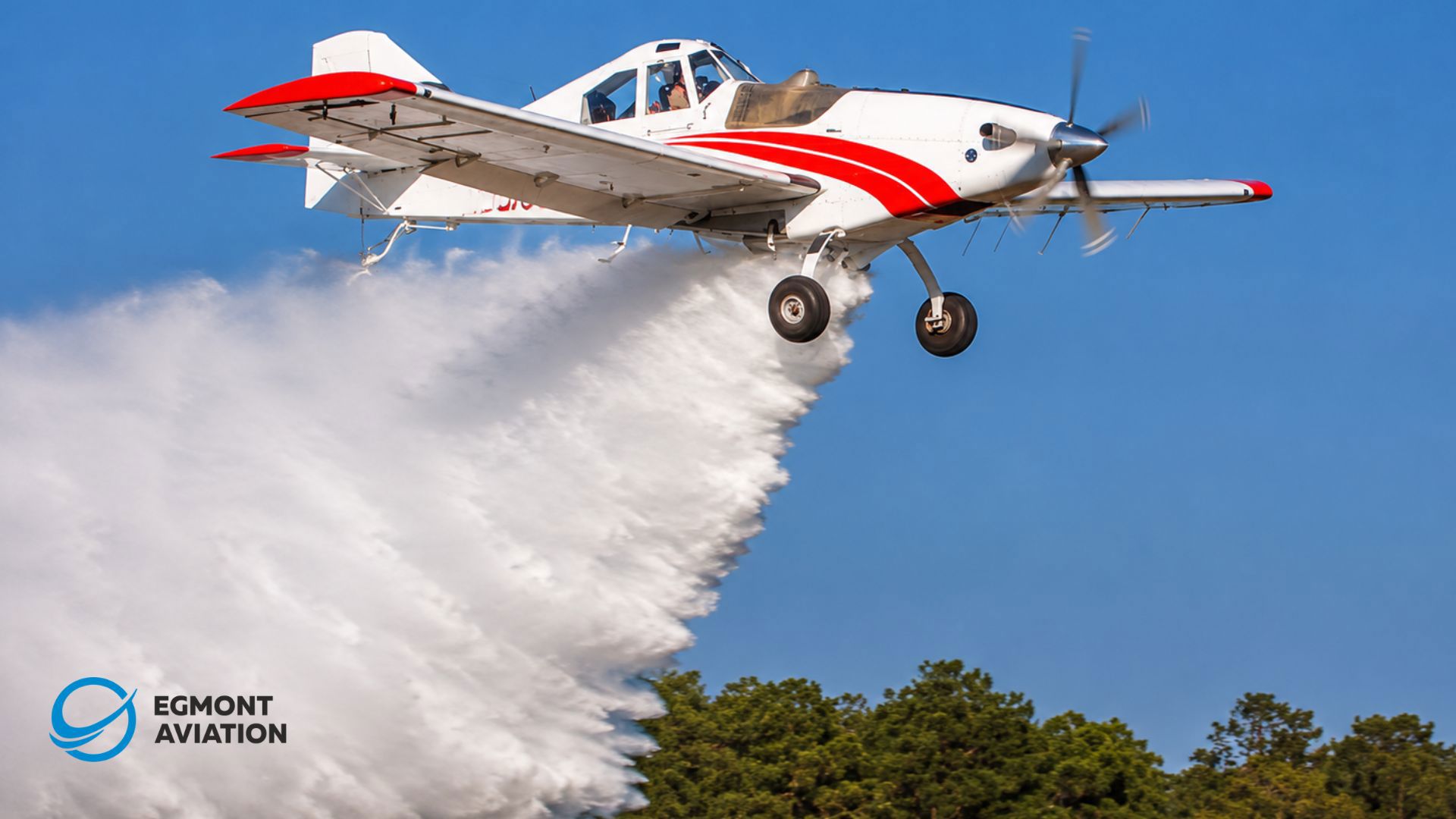 2026 Thrush Aircraft Fire Bird